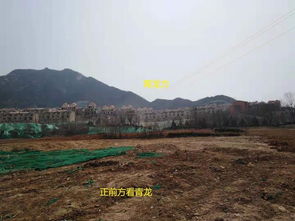 风水上砍树是否等同于动土，有什么讲究？