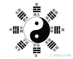 辛酉命局越老越美，其八字特征有哪些显著特点？