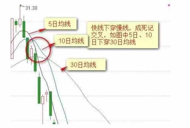 二、 左辅星于十二宫位之具体效应分析