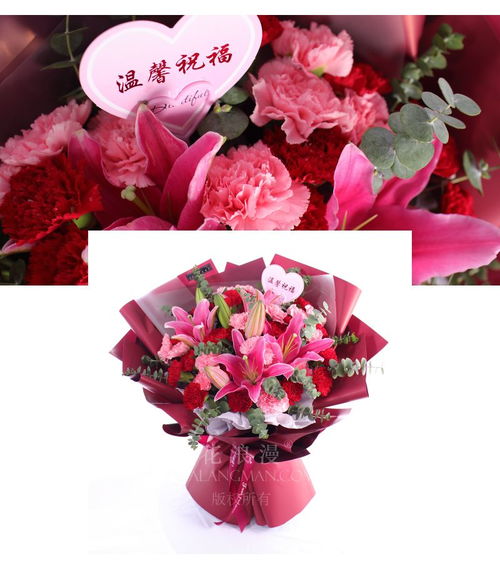 案例分析：王超霖与血色洋娃娃