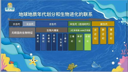 2.3 “藏风聚气”：提升服务质量与口碑