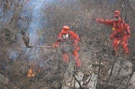 震惊！寿坟竟有这种奇效？看完三观炸裂！