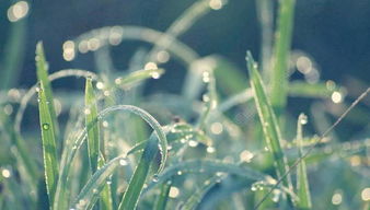 草啊青草啊割草啊=要倒霉？放屁！