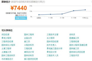就业方向及职业路径分析
