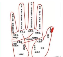手相能看出花心及感情经历多段吗？