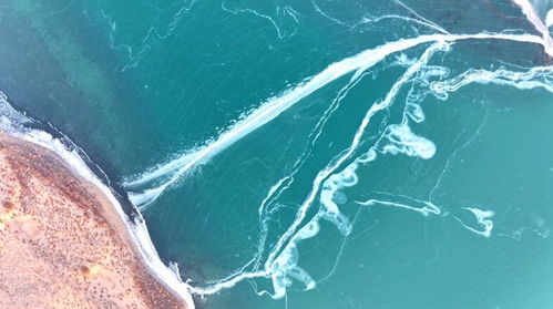 博斯腾湖： 美景背后的无奈
