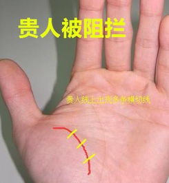 一、 干瘪薄掌与财富聚集能力之关系