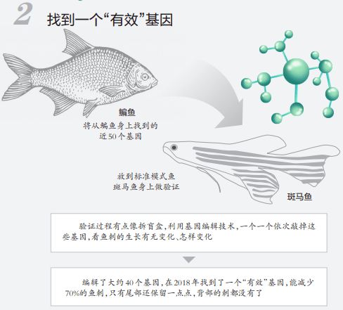 2.1 生肖文化底蕴中的特质传承
