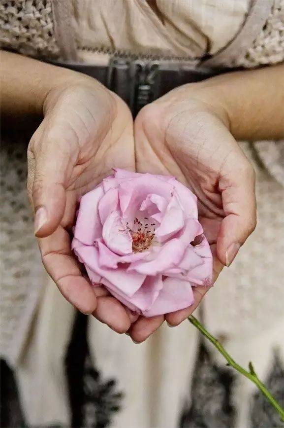 一、 外观特征：对深邃色彩与形态结构的细致剖析