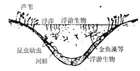 一、 生命本体的更多层次结构及其哲学思想阐释