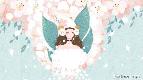 属羊巨蟹座2026年十一月运势和白羊巨蟹座2026年运势具体内容是什么？