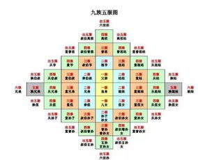 理论框架：从六爻到遁甲的逻辑衔接