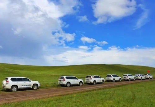 拼车自由行：小团体的省钱妙招