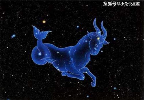 哪个金星星座蕞具吸引力，让人一见倾心？