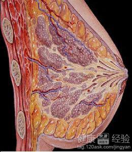 四、 不当烹饪方式产生的不利产物