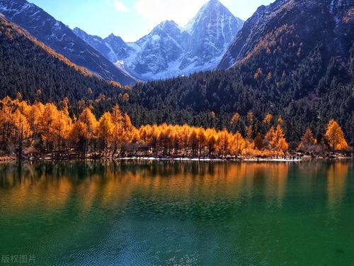 理县到阿坝：一场说走就走的迷幻之旅（真的）