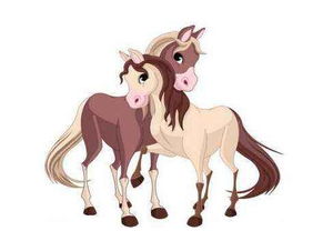 1966年属马人的财运方向在哪里？