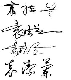 ：在这个纷繁复杂的世界里寻找那一抹纯净的杨姓之光