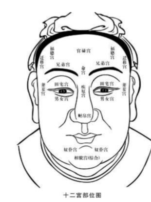 一、 ：面相学与青筋的关联