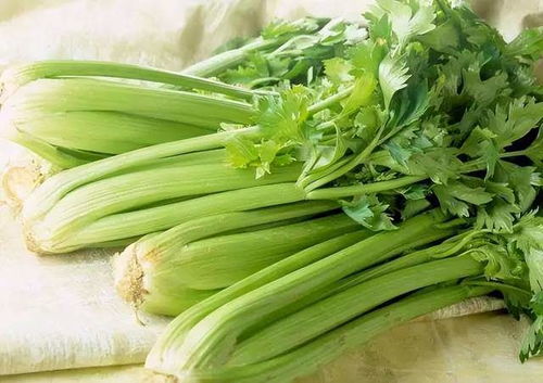 女士专属：菜园里的那些不可告人的秘密