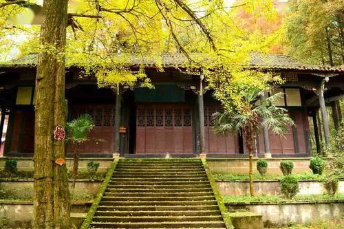 6. 灵岩寺：古寺幽静心灵洗礼