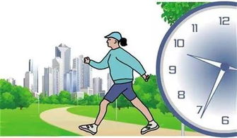 依据体质与症状进行个性化五行调适的方法论