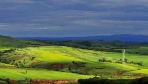 西华镇大草原：花钱找罪受の魔幻现实主义体验