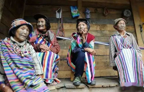 社会交往：热情好客与互助精神