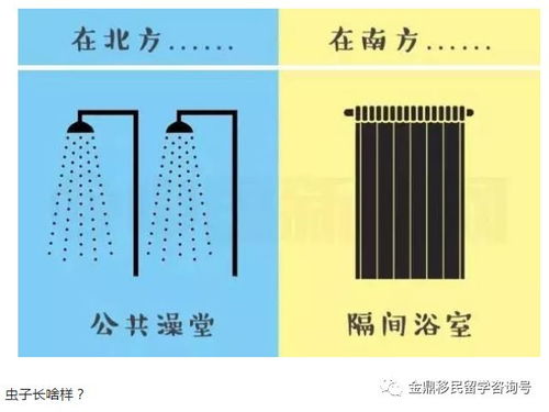 考试不容简单度之预测——以癸水落宫为例