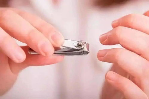 四、综合分析：情景解读下的多重含义