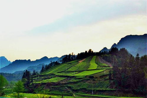 夏日炎炎何处躲——清凉避暑攻略请查收