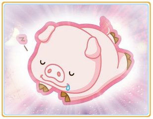 属猪的人与哪个生肖结婚最匹配，婚姻生活最和谐？