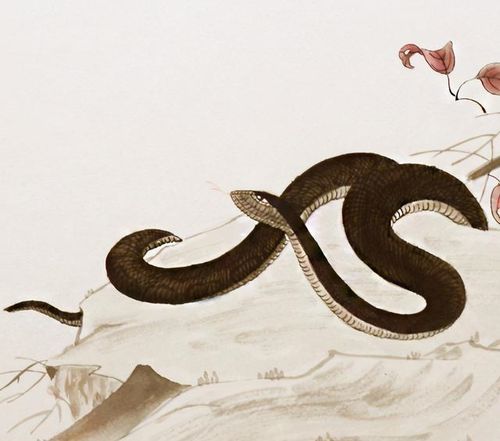 2026年属蛇3月运势中，2025年佩戴饰物对运势有何特殊含义？