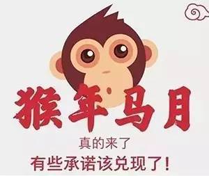 猴年马月谈婚配，这事儿靠谱吗？