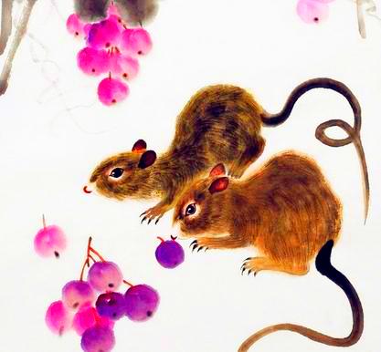 2026年属鼠和属兔的人会犯太岁吗？这是否意味着他们会有特别的运势挑战？