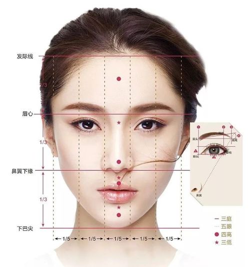 2.3 迁移宫（鼻侧）