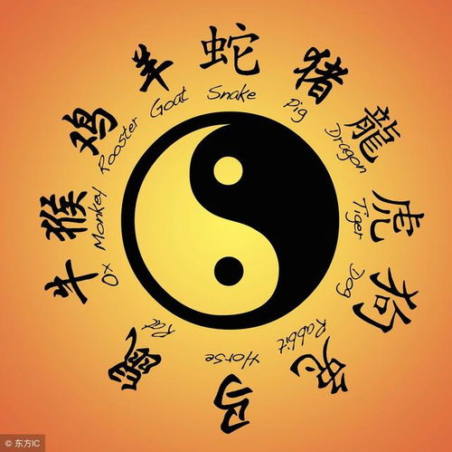 空的意义及其生活层面的阐述
