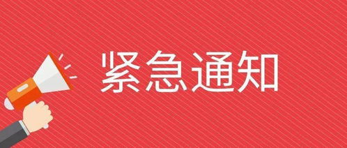 2. 带点 “ 冲突感 ”——让人忍不住想八卦