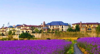 惯与那个让人纠结的40元