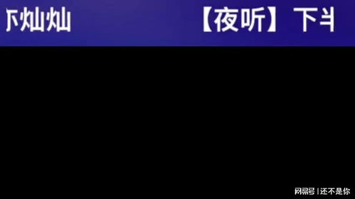 1.1 关键情绪词汇的名词化处理