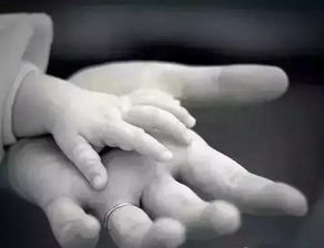 二、  显化：怨灵报复与家庭运势的崩塌