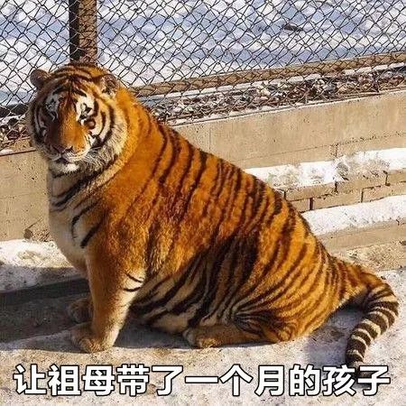 手表：装X利器还是实用工具？