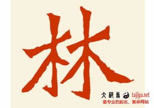 二、林姓女孩起名原则