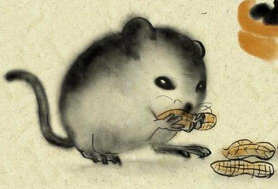 属羊和鼠的财运表里，羊鼠结婚的例子具体是怎样的含义？