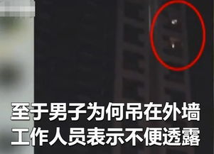 音乐启蒙内容与结构解析