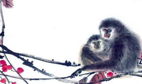 1968年属猴女性2026年农历四月运势如何？