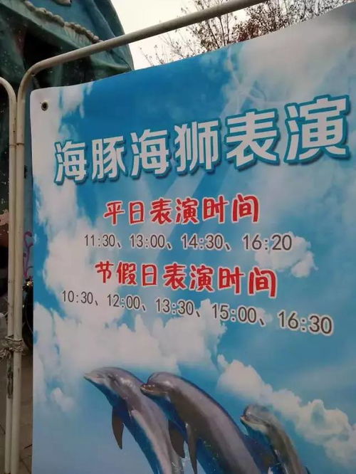 石家庄动物园：一场荒诞不经的奇幻漂流