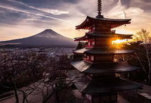 五月八日出生的女生是什么星座？星座解析大全有介绍吗？