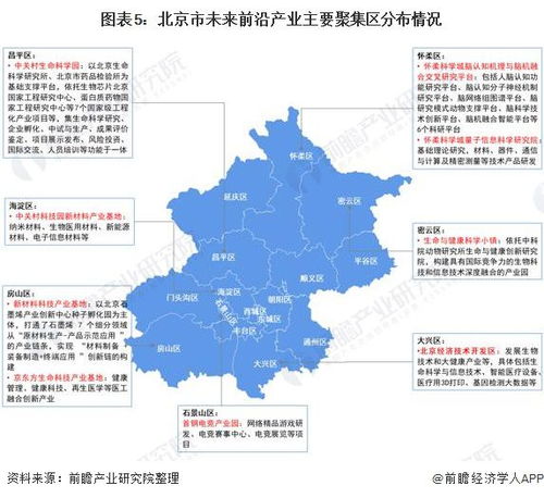 产业布局：多元化发展路径下的和谐共生