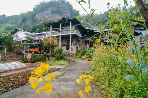 去了吃什么才嫩对得起自己的胃？美食暴击警告！